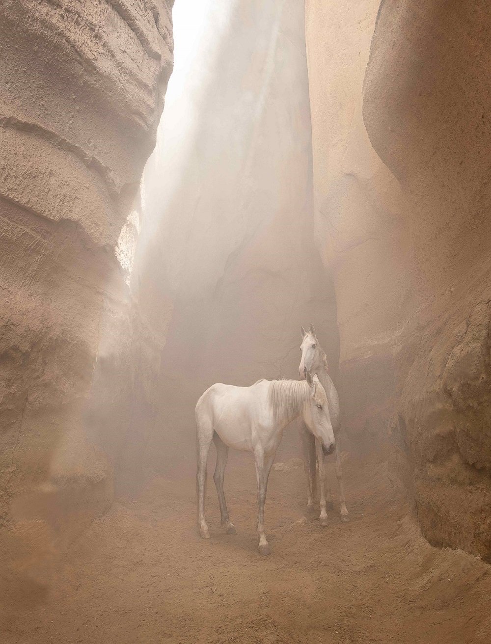 _54-CAPPADOCIA-HORSES,-CAVE-Pl-2